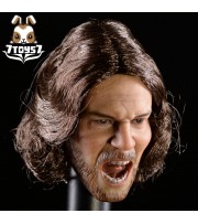 ACI Toys 1/6 ACI19 Thracian General_ Headsculpt (Rooted Hair) AT071A